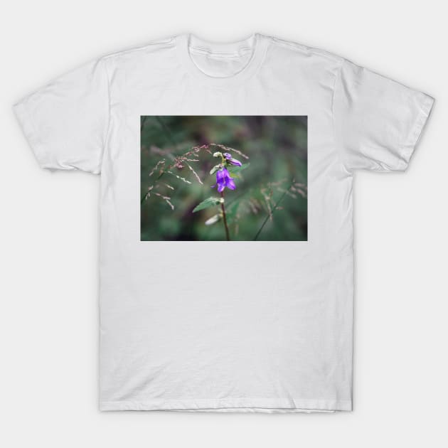 Violet bellflower T-Shirt by Matlasaya